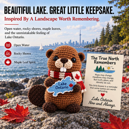 🦫 Lake Ontario Emotional Support Beaver Crochet Keepsake | 5 Canadian-Inspired Personalities with Matching Message Cards for Cottage Families, Lake Lovers & Meaningful Gifts 🍁