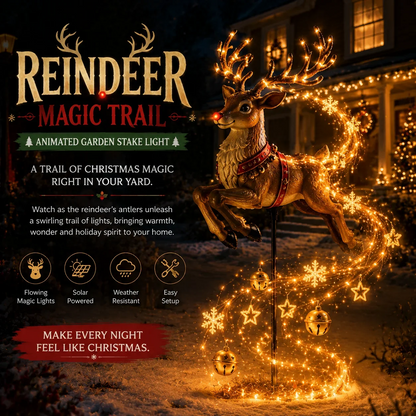 ✨ Enchanted Flower Fairy Solar Garden Light – Magical Glowing Outdoor Christmas Yard Decor 🧚🌸