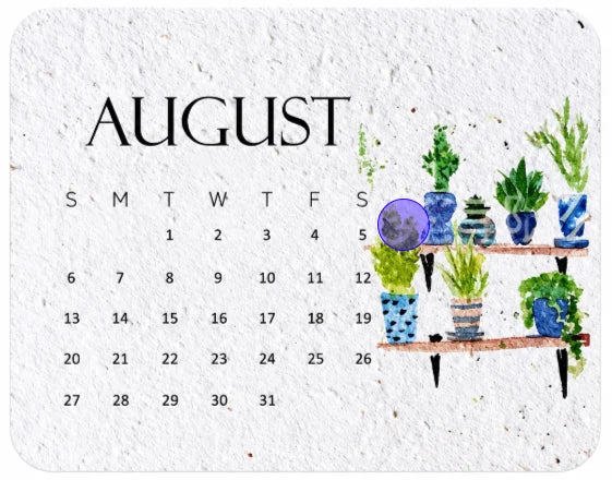 🌱Eco-Friendly Plantable “Timeless” Seed Calendar 2027