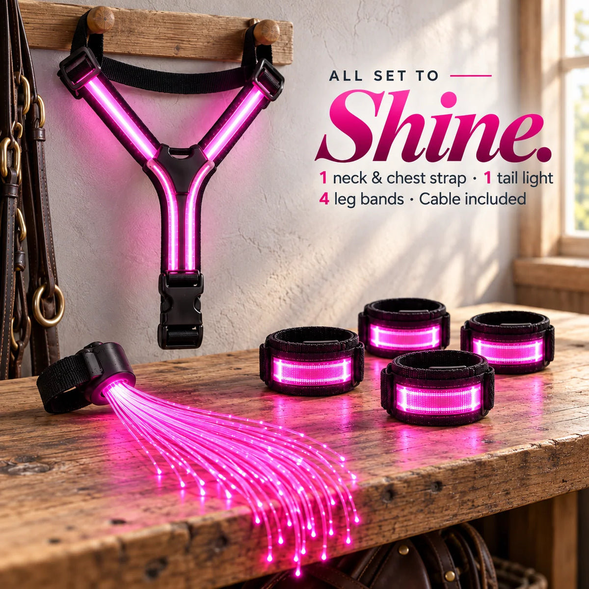 🌈🐎 Ride in Color! LED Horse Light Set – Blue, Green & Pink