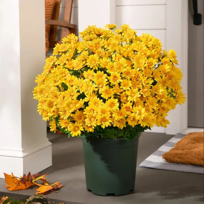 💥On Sale Today Only🌼- Artificial Outdoor Sunset Mums Flowers